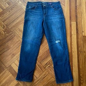 Style & Co Stretch Jeans